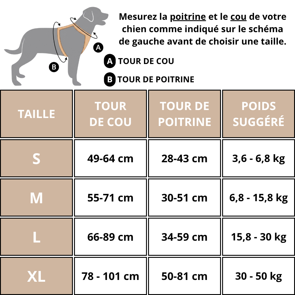 Harnais de Promenade Anti-Traction Pro