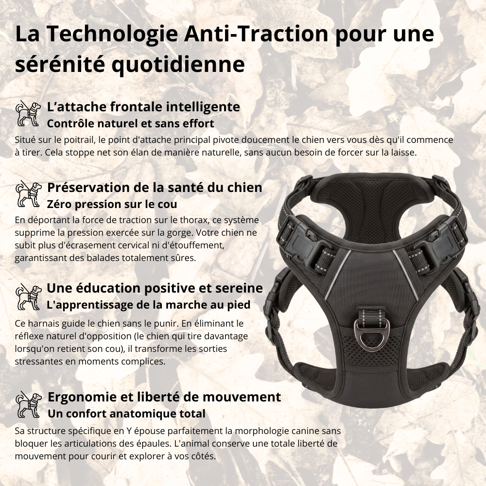 Harnais de Promenade Anti-Traction Pro