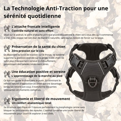 Harnais de Promenade Anti-Traction Pro
