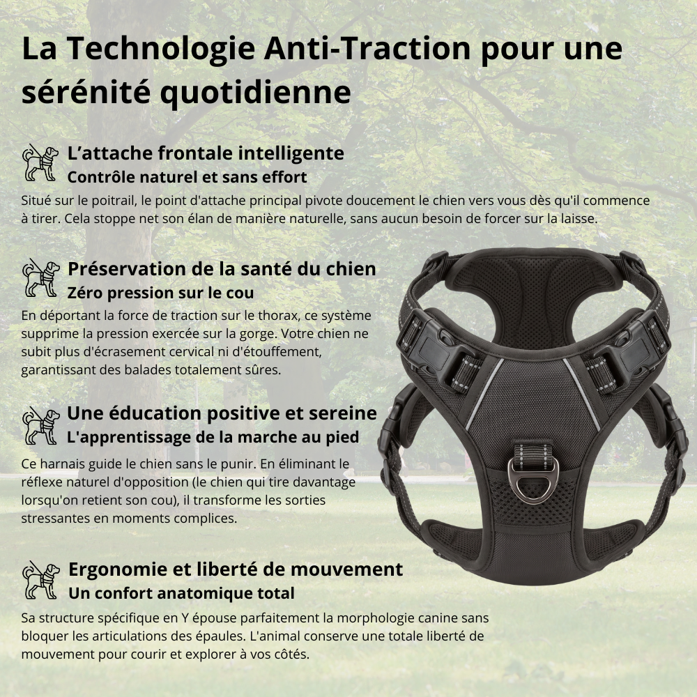 Harnais de Promenade Anti-Traction Pro