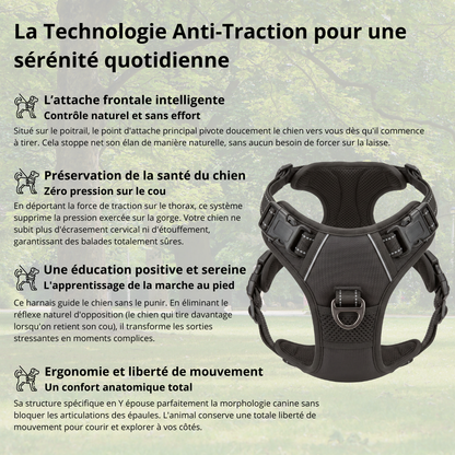 Harnais de Promenade Anti-Traction Pro