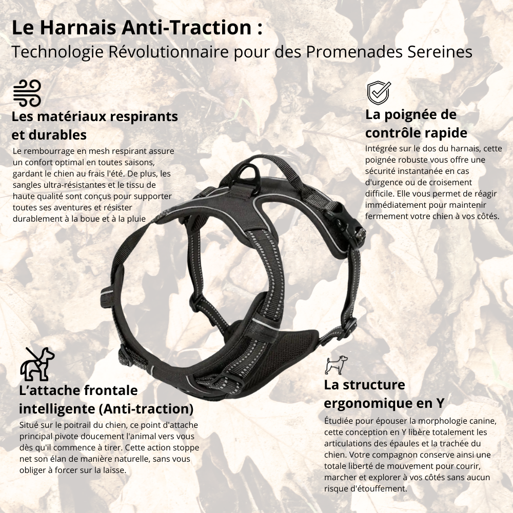 Harnais de Promenade Anti-Traction Pro