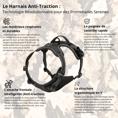 Harnais de Promenade Anti-Traction Pro