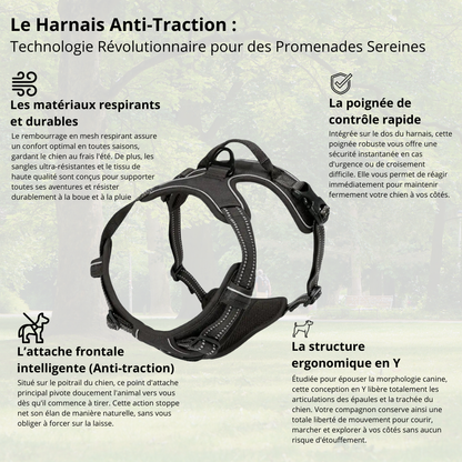 Harnais de Promenade Anti-Traction Pro
