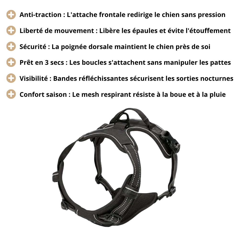 Harnais de Promenade Anti-Traction Pro