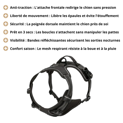 Harnais de Promenade Anti-Traction Pro